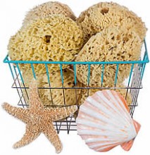 Sea Sponges for Bath & Shower